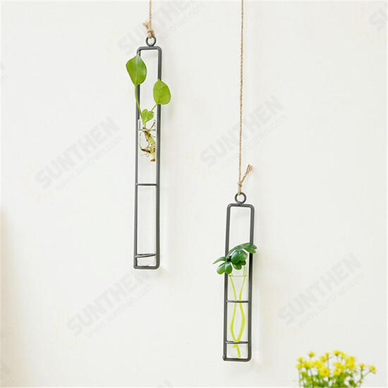 Large Glass Vase Hemp Rope Pendant Living Room Wall Hanging Green Plant Containers