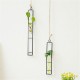 Large Glass Vase Hemp Rope Pendant Living Room Wall Hanging Green Plant Containers