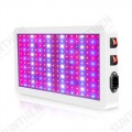 LED Grow Lights