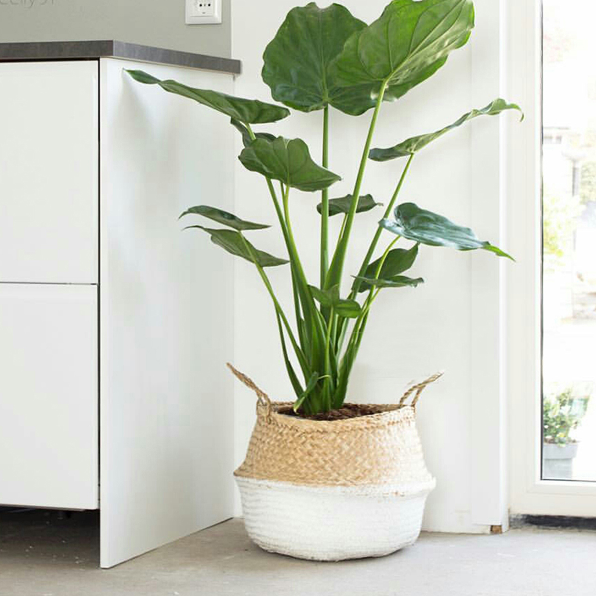 5PCS-Mat-Grass-Belly-Basket-Storage-Plant-Pot-Foldable-Laundry-Bag-Room-Decorative-Flower-Pot-1217821-7
