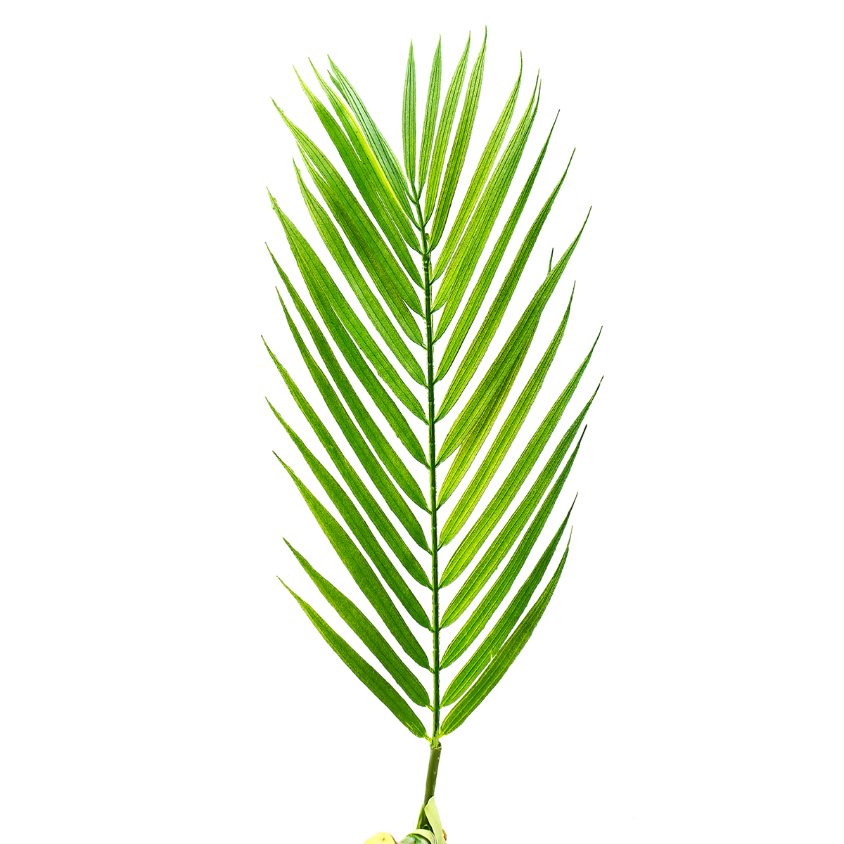 69-Branches-Green-Palm-Leaves-Plastic-Fake-Plant-Artificial-Leaf-Home-Adornment-Decorations-1370279-6