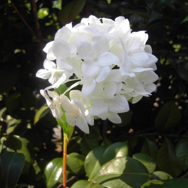 Artificial-Flower-Hydrangea-Silk-Bridal-Bouquet-Party-Home-Wedding-Decor-5-Colors-Flowers-986181-11
