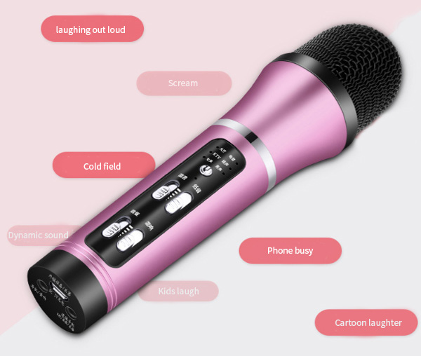 LAIMODA-C25-USB-Karaoke-Microphone-Recording-Microphone-Studio-Mini-Condenser-Microphone-for-Live-Br-1847695-1