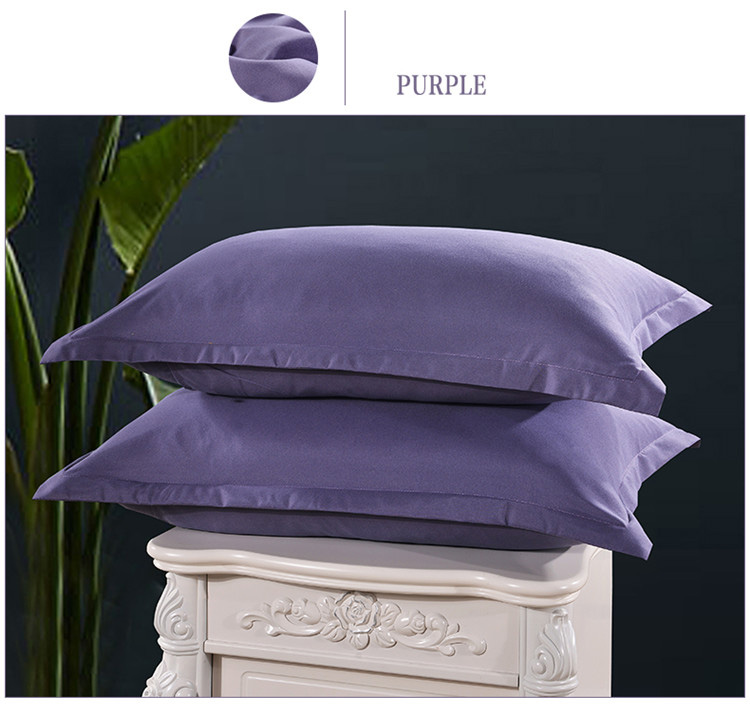 KC-P250-2Pcs-Queen-Size-Pillow-Cases-100-Brushed-Microfiber-Ultra-Soft-Pillowcase-Covers-1134732-9