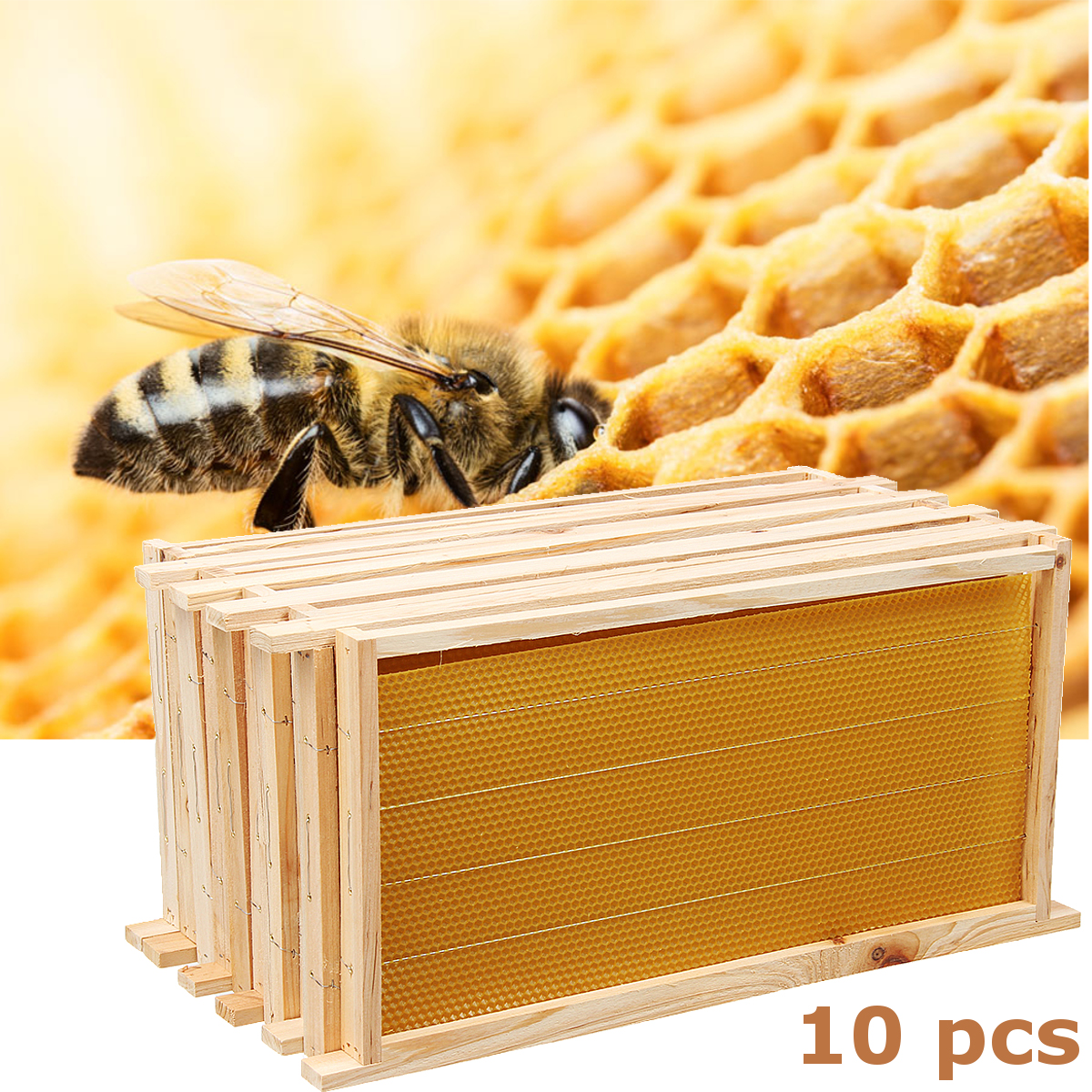 10Pcs-Bees-Wax-Foundation-Sheets-Wood-Beekeeping-Pine-Beehive-Frame-49X235-cm-1711709-5