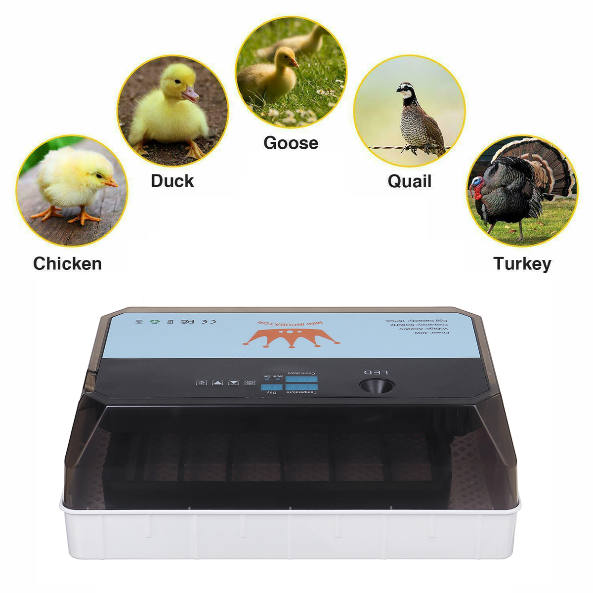 40W-LED-Light-15PCS-Eggs-Chicken-Automatic-Incubator-Hatche-Turning-Temperature-Control-1785575-2