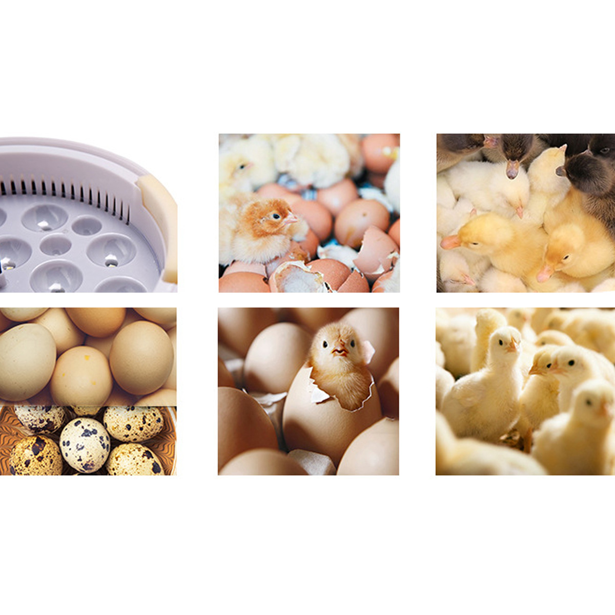 40W-LED-Light-15PCS-Eggs-Chicken-Automatic-Incubator-Hatche-Turning-Temperature-Control-1785575-3