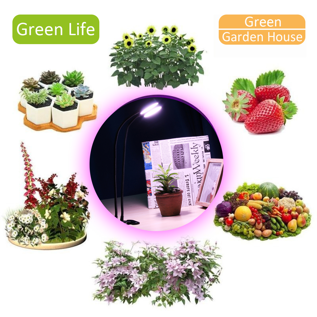 Clip-Plant-Fill-Light-LED-Grow-Light-Fleshy-Planting-Double-Head-Timing-With-Clips-Like-Sun-1388863-5