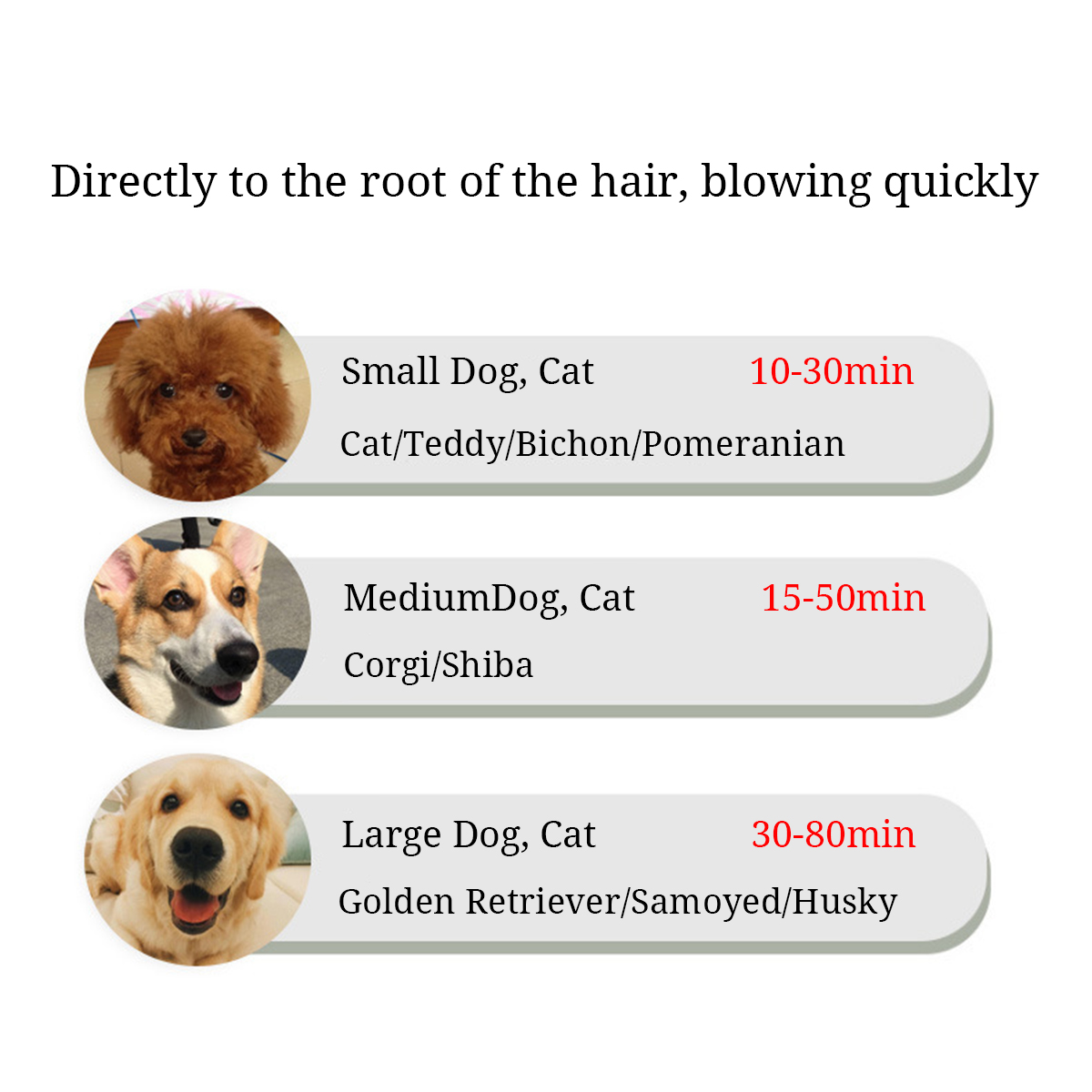 2-in-1-Portable-Pet-Hair-Dryer-Comb-Brush-Pet-Grooming-Cat-Hair-Comb-Dog-Dryer-1910303-7