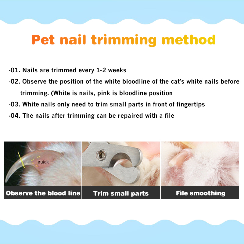 2pcs-Stainless-Steel-Pet-Nail-Clippers-Nail-Trimmer-Set-Cat-Nail-Trim-Dog-Cleaning-Beauty-Tools-1801301-4
