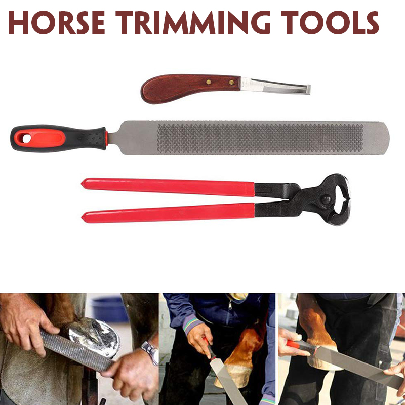3Pcs-Farriers-Equestrian-Horse-Cattle-Hoof-Nipper-Cutter-File-Rasp-Trimming-Set-1723770-2