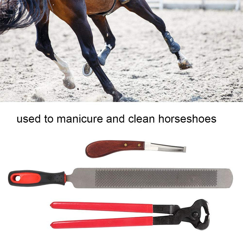 3Pcs-Farriers-Equestrian-Horse-Cattle-Hoof-Nipper-Cutter-File-Rasp-Trimming-Set-1723770-3