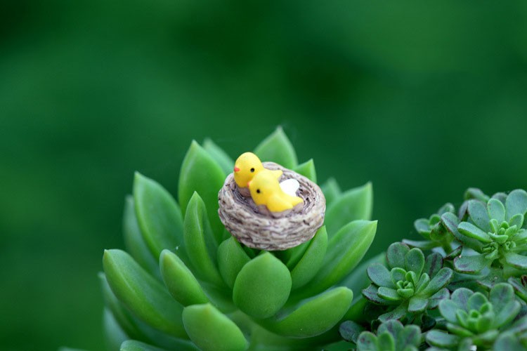 DIY-Bird-Nest-Resin-Small-Ornament-Moss-Micro-Furnishing-Articles-Home-Succulent-Plant-Decoration-1115860-4