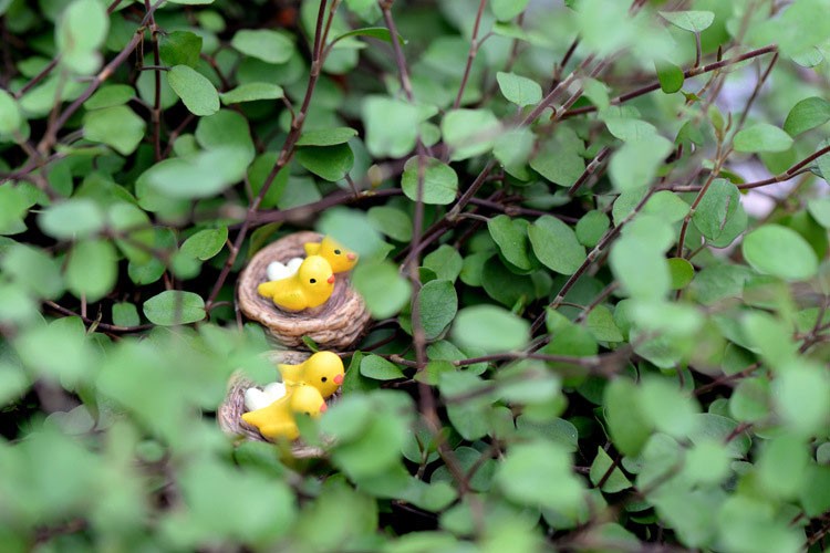 DIY-Bird-Nest-Resin-Small-Ornament-Moss-Micro-Furnishing-Articles-Home-Succulent-Plant-Decoration-1115860-5