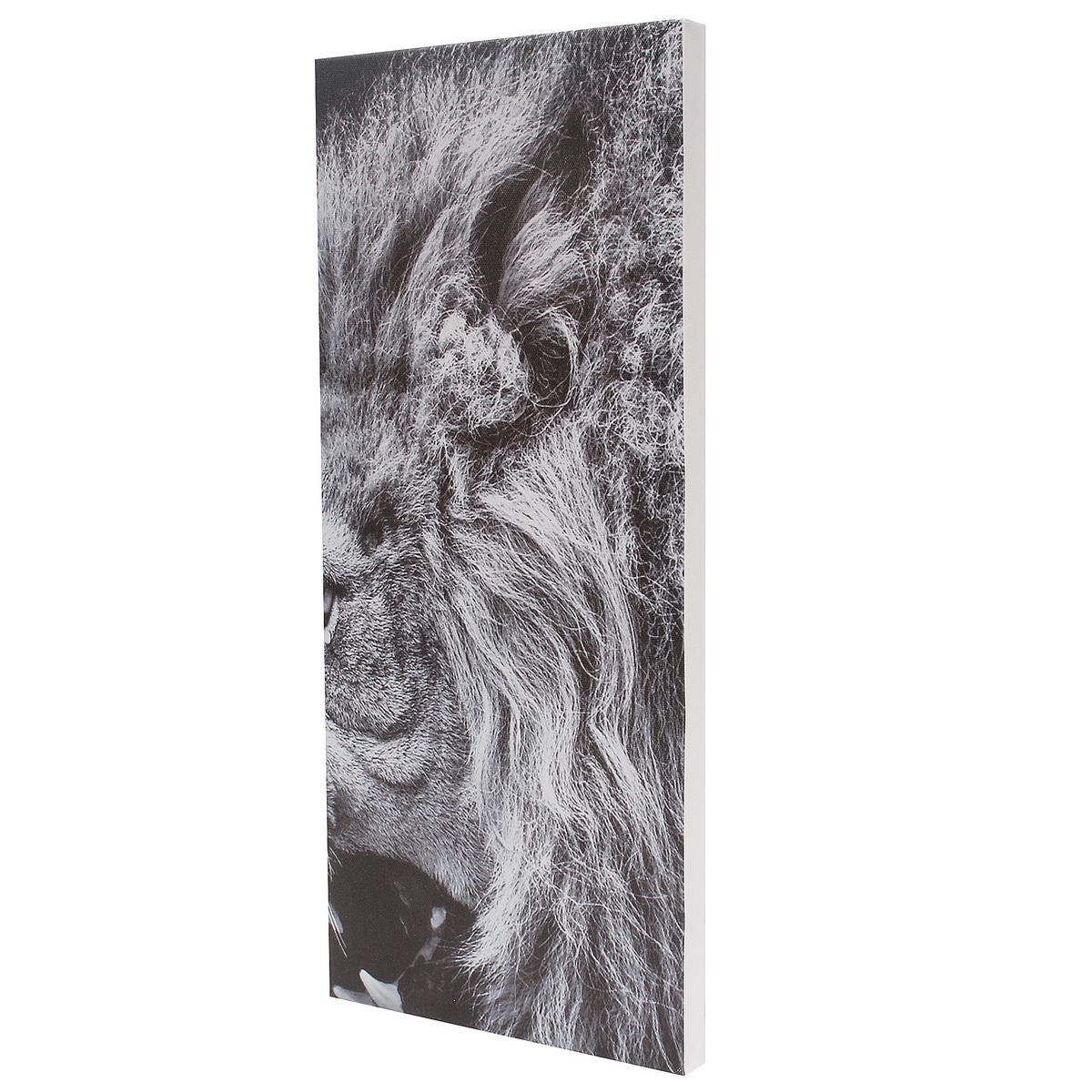 5Pcs-Black-White-Lion-Canvas-Print-Art-Painting-Wall-Picture-Home-Decor-Framed-Decorations-1114917-4