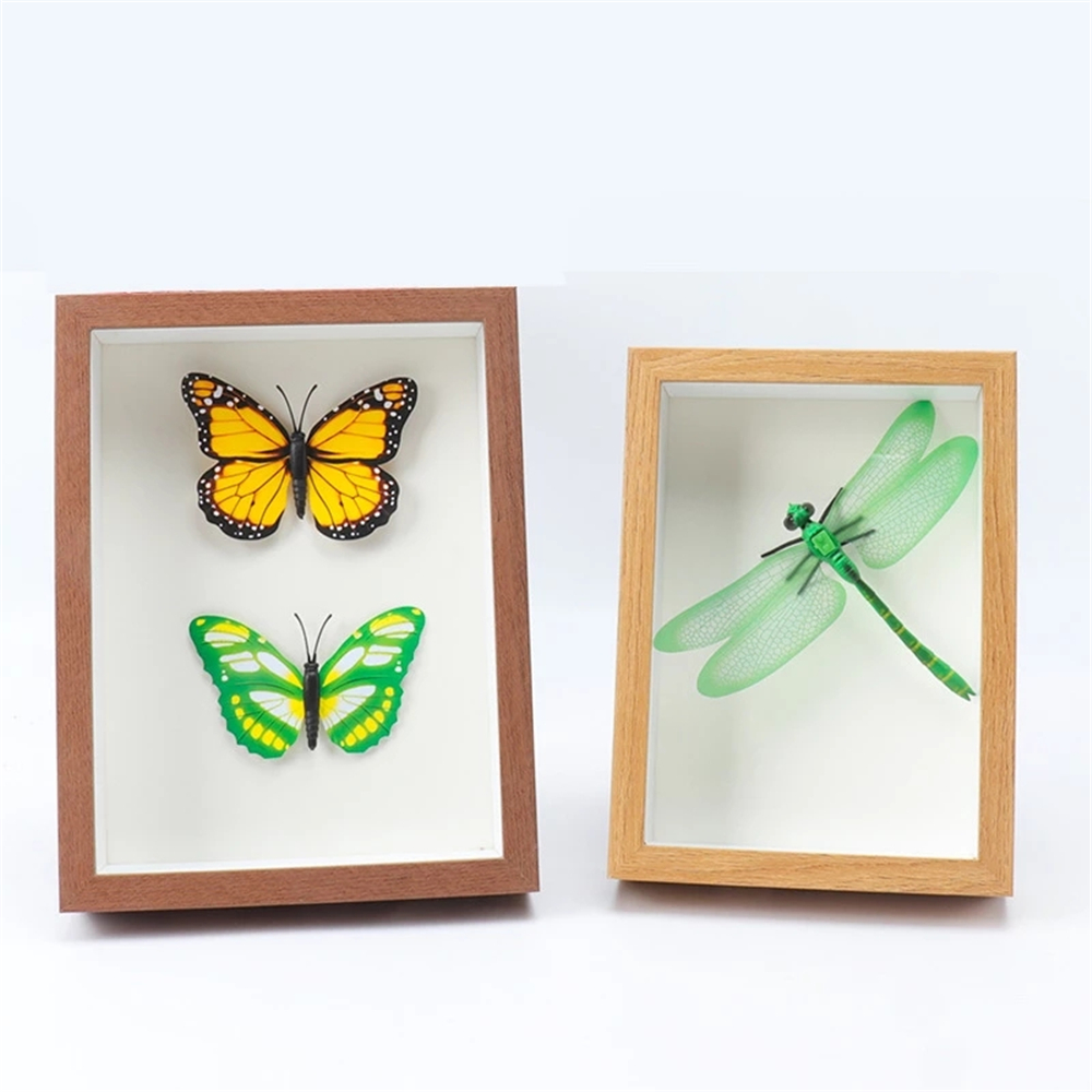 A46810-inch-3D-Hollow-Photo-Frame-Wood-Butterfly-Dragonfly-Dry-Flower-Frame-Home-Office-Desktop-Orna-1795357-3