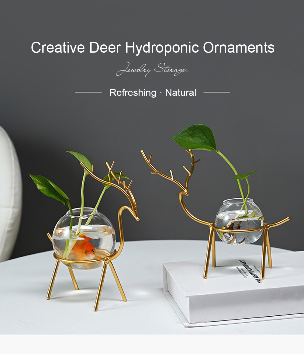 Desktop-Hydroponic-Vase-Flowerpot-Decoration-Fresh-Desktop-Small-Fish-Tank-Office-Desk-Living-Room-C-1744594-1