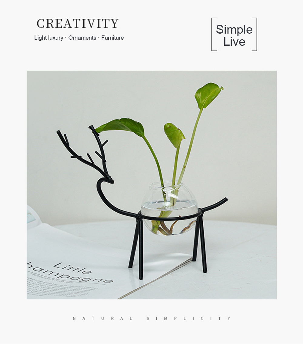 Desktop-Hydroponic-Vase-Flowerpot-Decoration-Fresh-Desktop-Small-Fish-Tank-Office-Desk-Living-Room-C-1744594-2