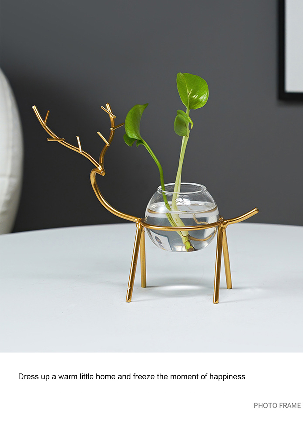 Desktop-Hydroponic-Vase-Flowerpot-Decoration-Fresh-Desktop-Small-Fish-Tank-Office-Desk-Living-Room-C-1744594-6