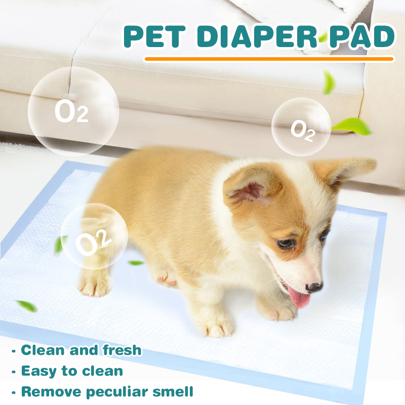 100504020-Pet-Diapers-Deodorant-Thickening-Absorbent-Diapers-Disposable-Training-Urine-Pad-Dog-Diape-1819403-5