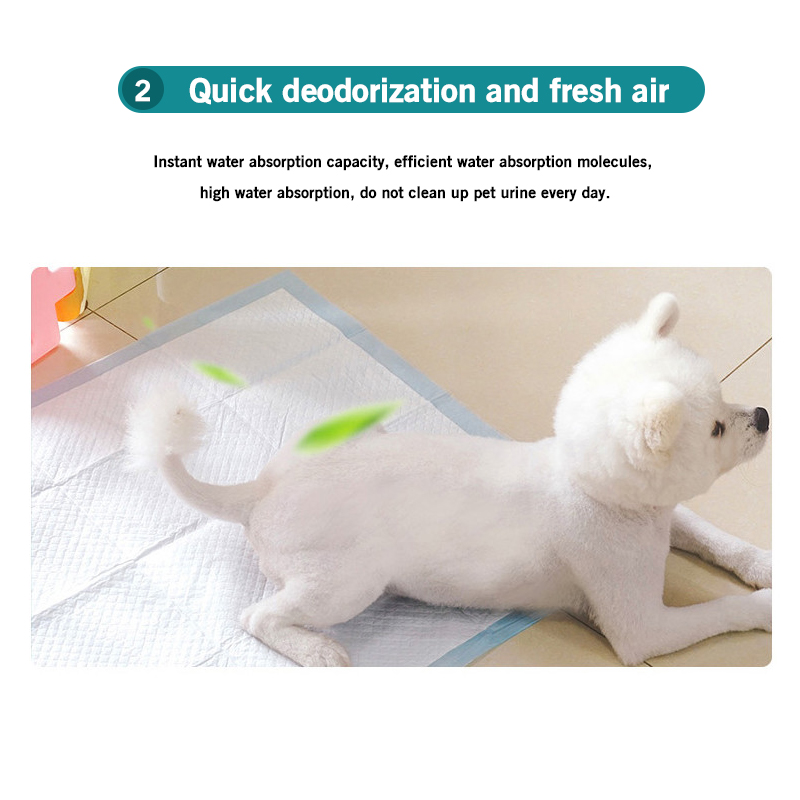 100504020-Pet-Diapers-Deodorant-Thickening-Absorbent-Diapers-Disposable-Training-Urine-Pad-Dog-Diape-1819403-7