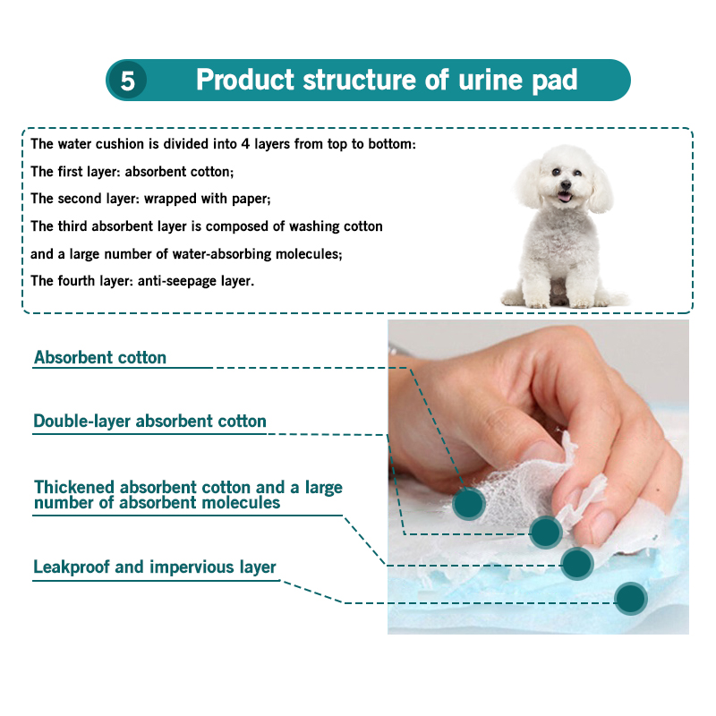 100504020-Pet-Diapers-Deodorant-Thickening-Absorbent-Diapers-Disposable-Training-Urine-Pad-Dog-Diape-1819403-10