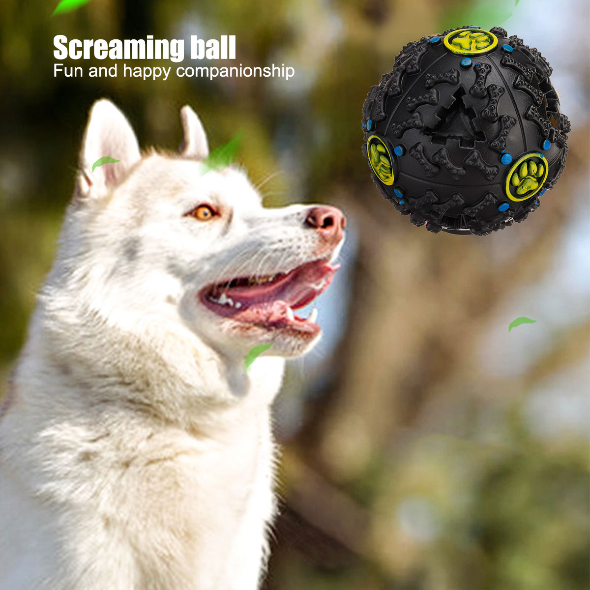 Assorted-Dog-Puppy-Pet-Toys-Ropes-Chew-Balls-Training-Play-Bundle-Teething-Aid-1953171-3