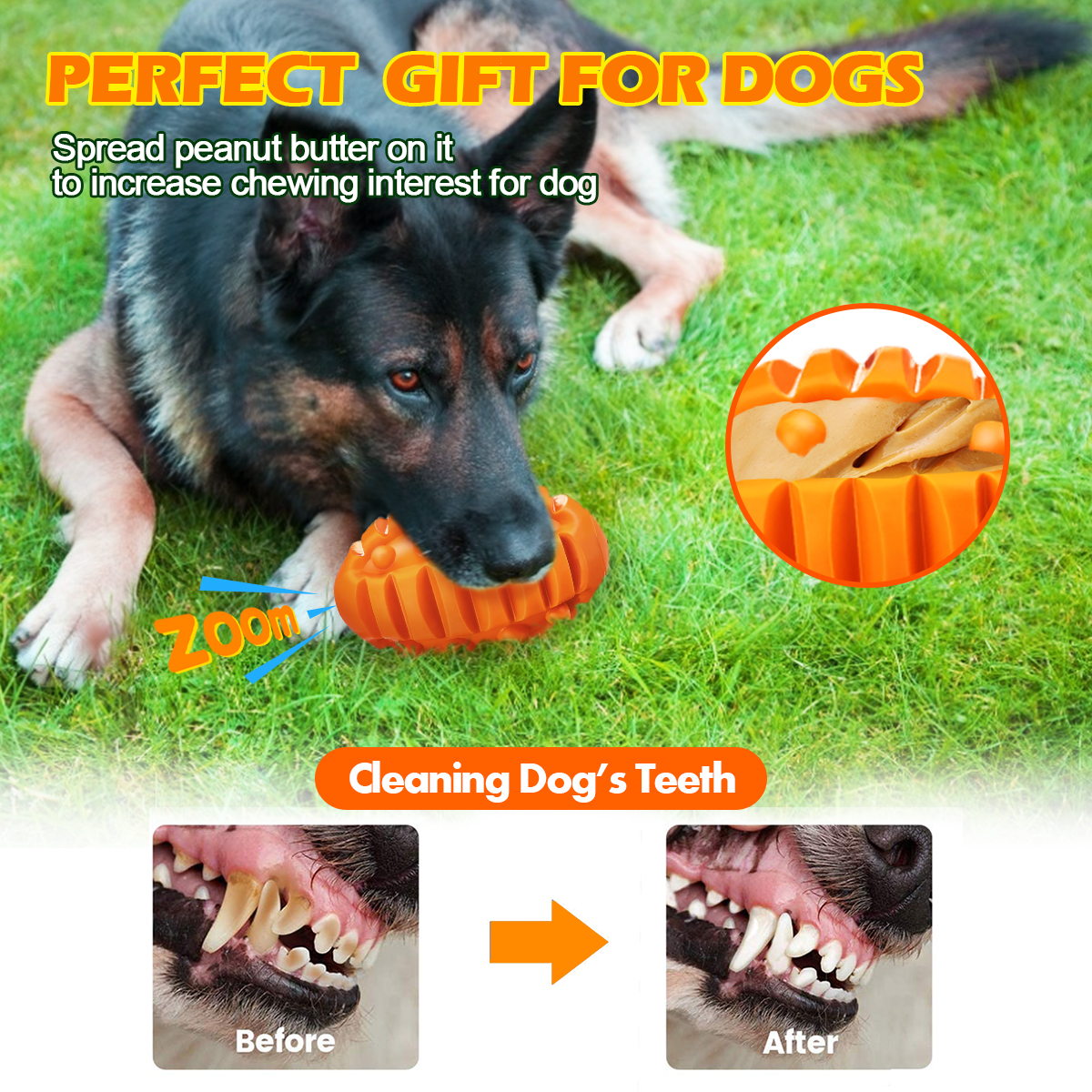 Focuspet-5quotx-3quot-Large-Interactive-Dog-Ball-Toys-Real-Beef-Flavor-Squeaky-Chew-Toy-for-Medium-L-1940481-5