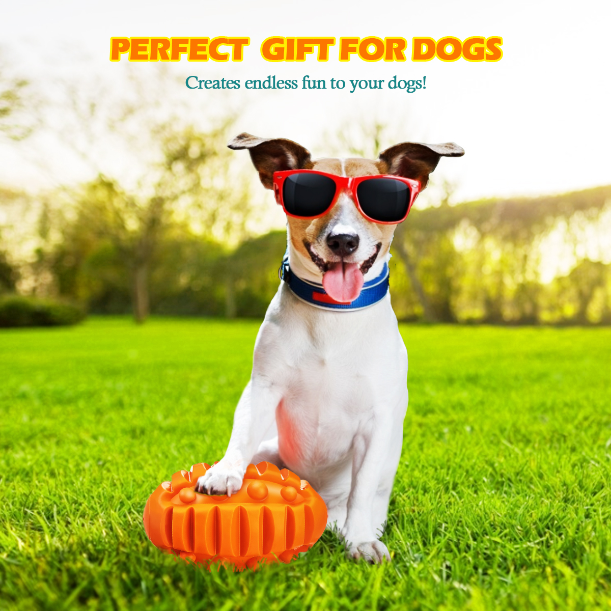 Focuspet-5quotx-3quot-Large-Interactive-Dog-Ball-Toys-Real-Beef-Flavor-Squeaky-Chew-Toy-for-Medium-L-1940481-7