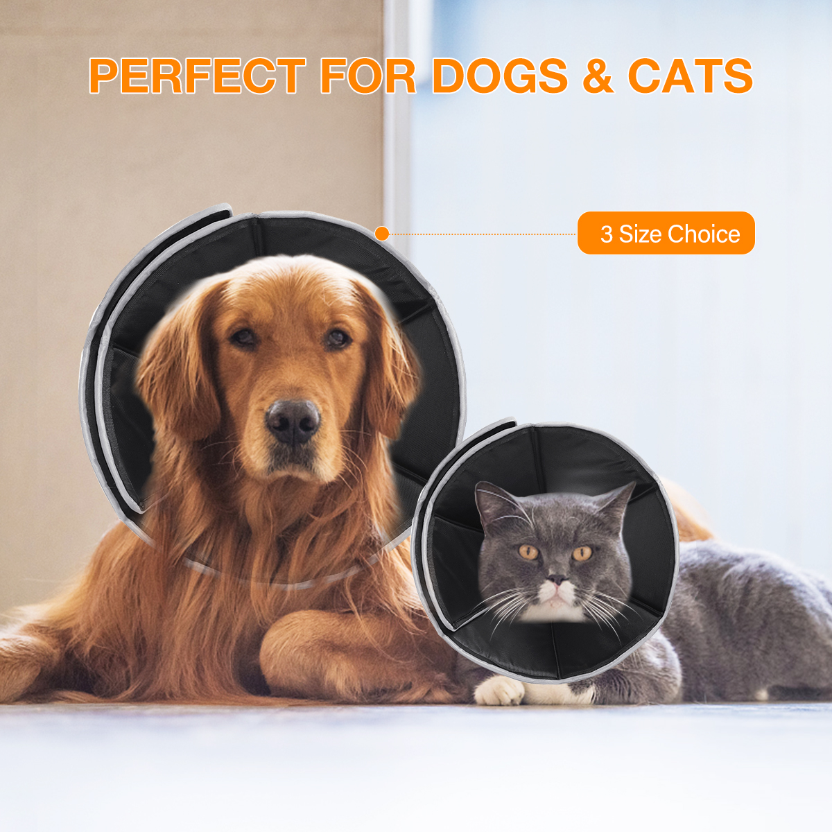 Focuspet-Dog-Cone-Collar-Pet-Recovery-Collar-Dogs--Cats-Soft-Recovery-Collar-Protective-Collar-for-L-1939451-4