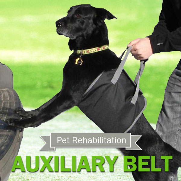 Pet-Dog-Auxiliary-Belt-Carrier-Bag-Assist-Sling-Outdoor-Portable-Lift-Support-Rehabilitation-Harness-1040403-2