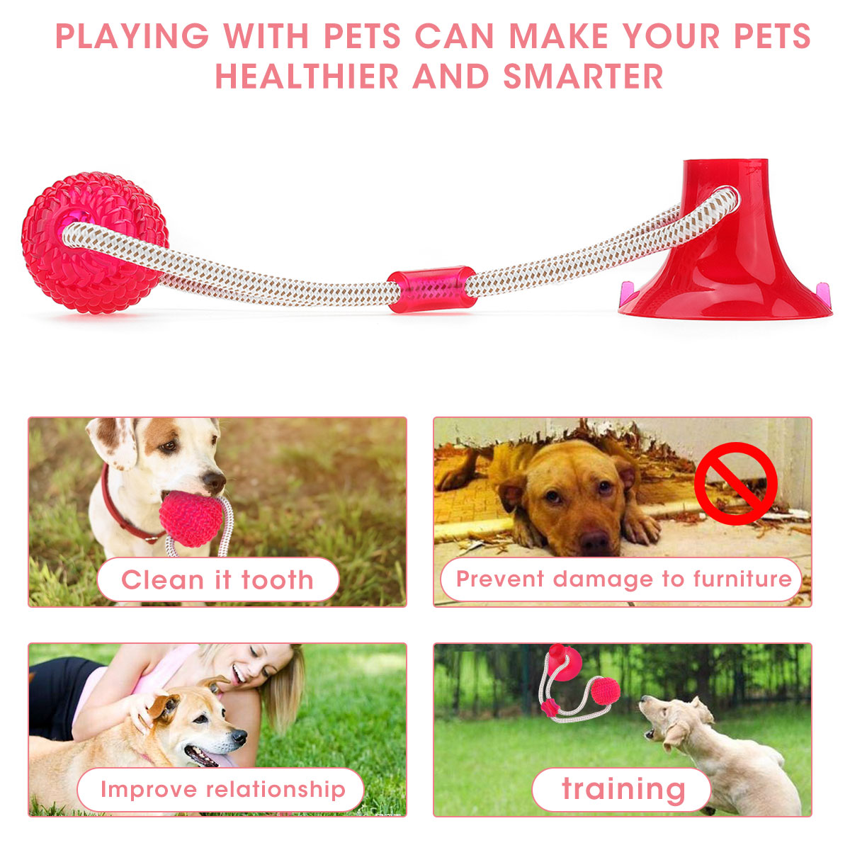 Pet-Molar-Bite-Toy-Suction-Cup-Rubber-Ball-Dog-Chew-Toys-Interactive-Puppy-Molar-Training-Rope-Tug-R-1900175-2