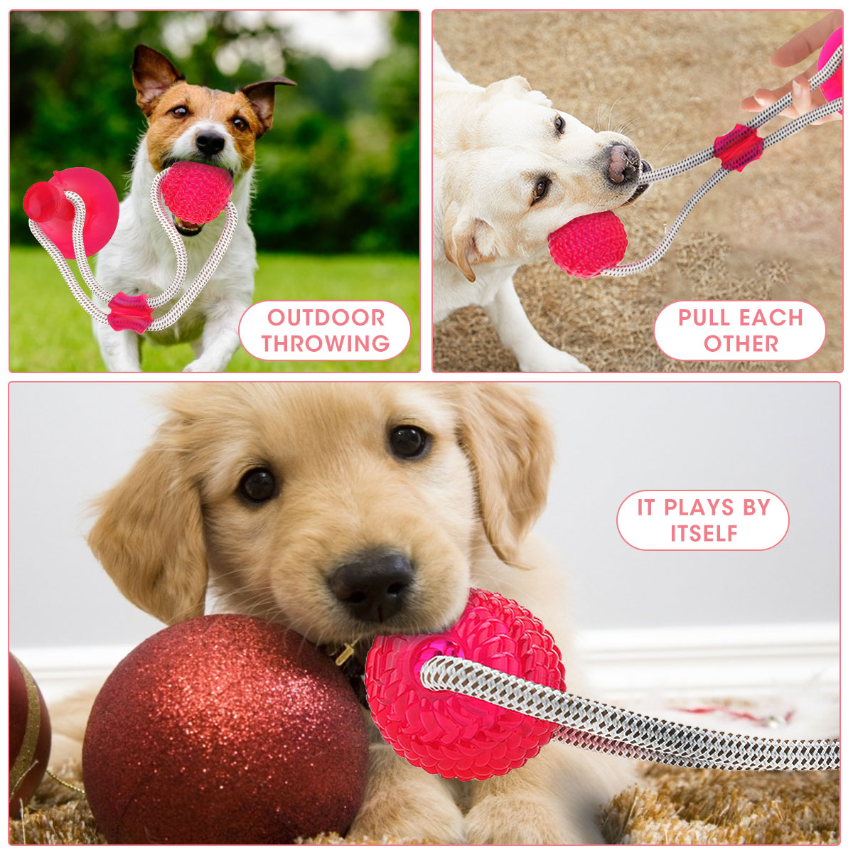 Pet-Molar-Bite-Toy-Suction-Cup-Rubber-Ball-Dog-Chew-Toys-Interactive-Puppy-Molar-Training-Rope-Tug-R-1900175-5