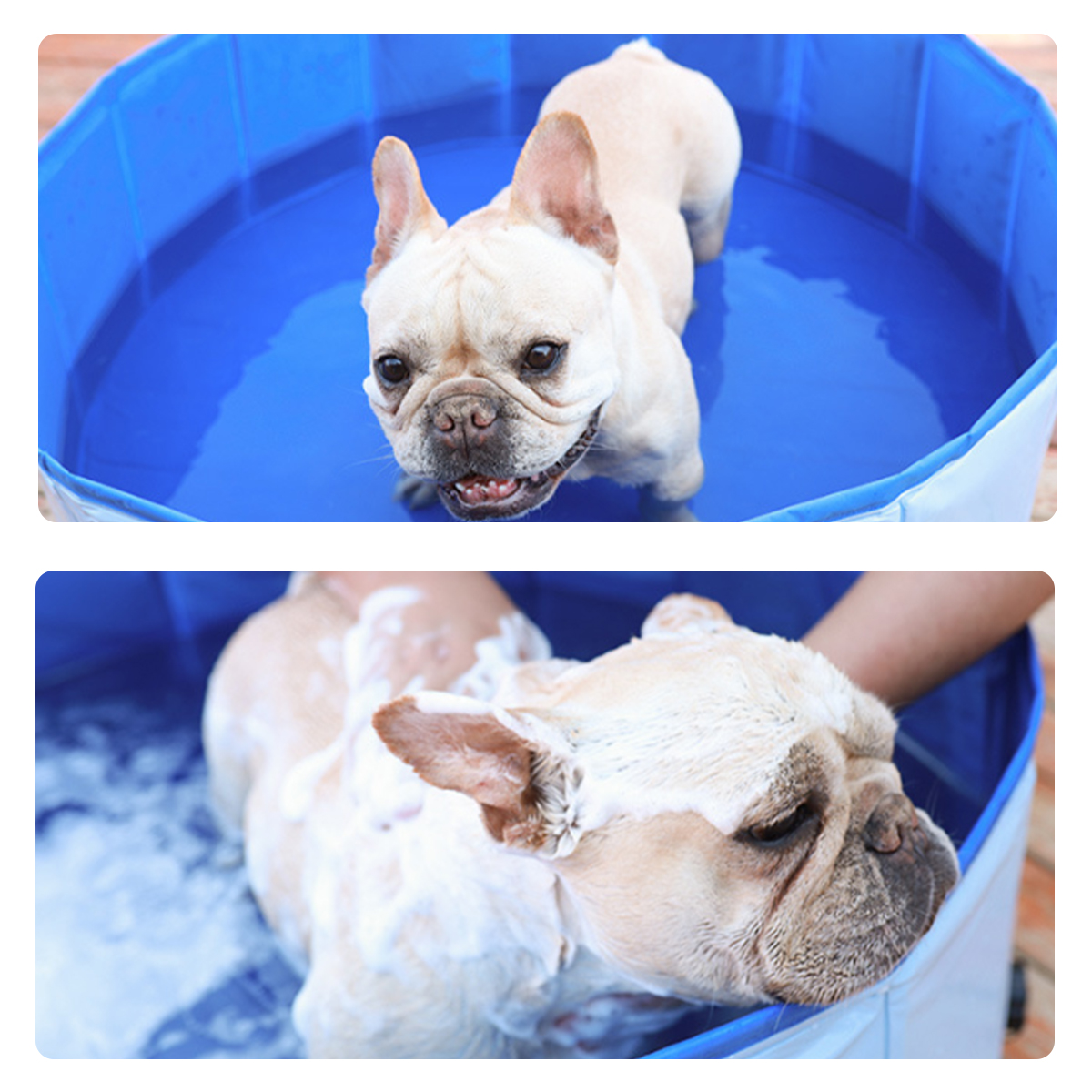 Pet-Outdoor-Swimming-Pool-Shower-Foldable-Pet-Swimming-Pool-Easy-Carry-Dog-Cat-Pet-Shower-Swimming-P-1759068-5