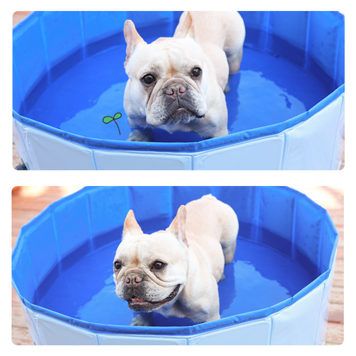 Pet-Outdoor-Swimming-Pool-Shower-Foldable-Pet-Swimming-Pool-Easy-Carry-Dog-Cat-Pet-Shower-Swimming-P-1759068-6