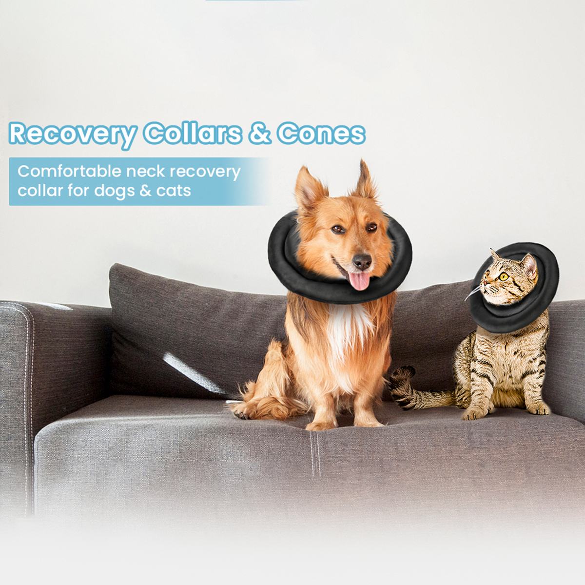 Protective-Cone-for-Dogs-Cats-After-Surgery-Soft-Elizabethan-Collar-Recovery-Puppy-Pet-Supplies-1958015-12