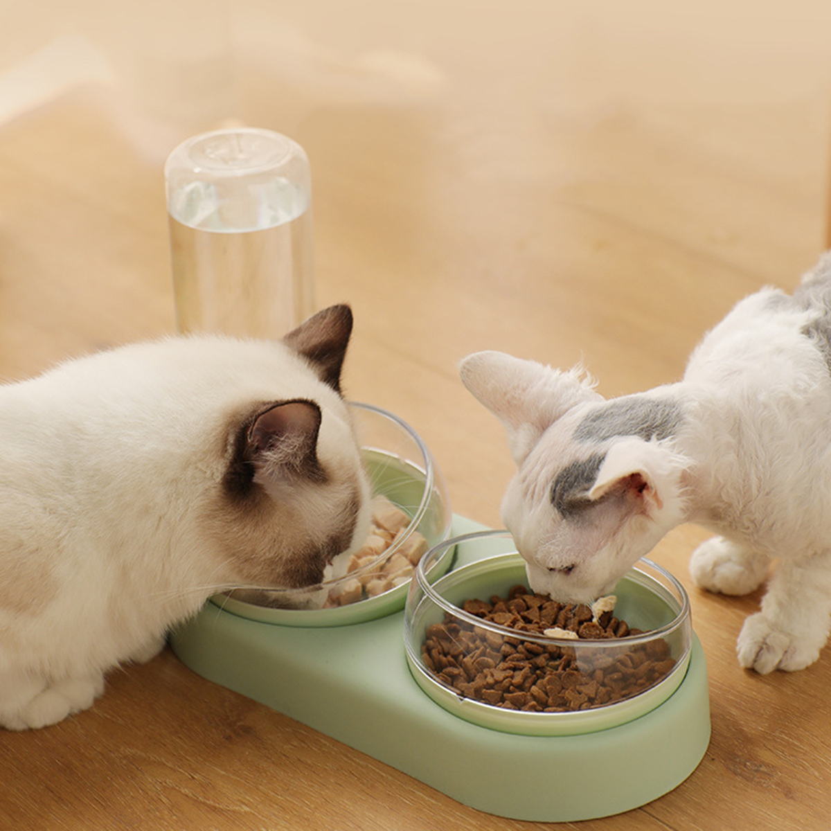 Three-bowl-Design-Pet-Feeder-Dry-and-Wet-Separation-15-Degree-Tilt-Automatic-Anti-wetting-Large-Capa-1852271-16