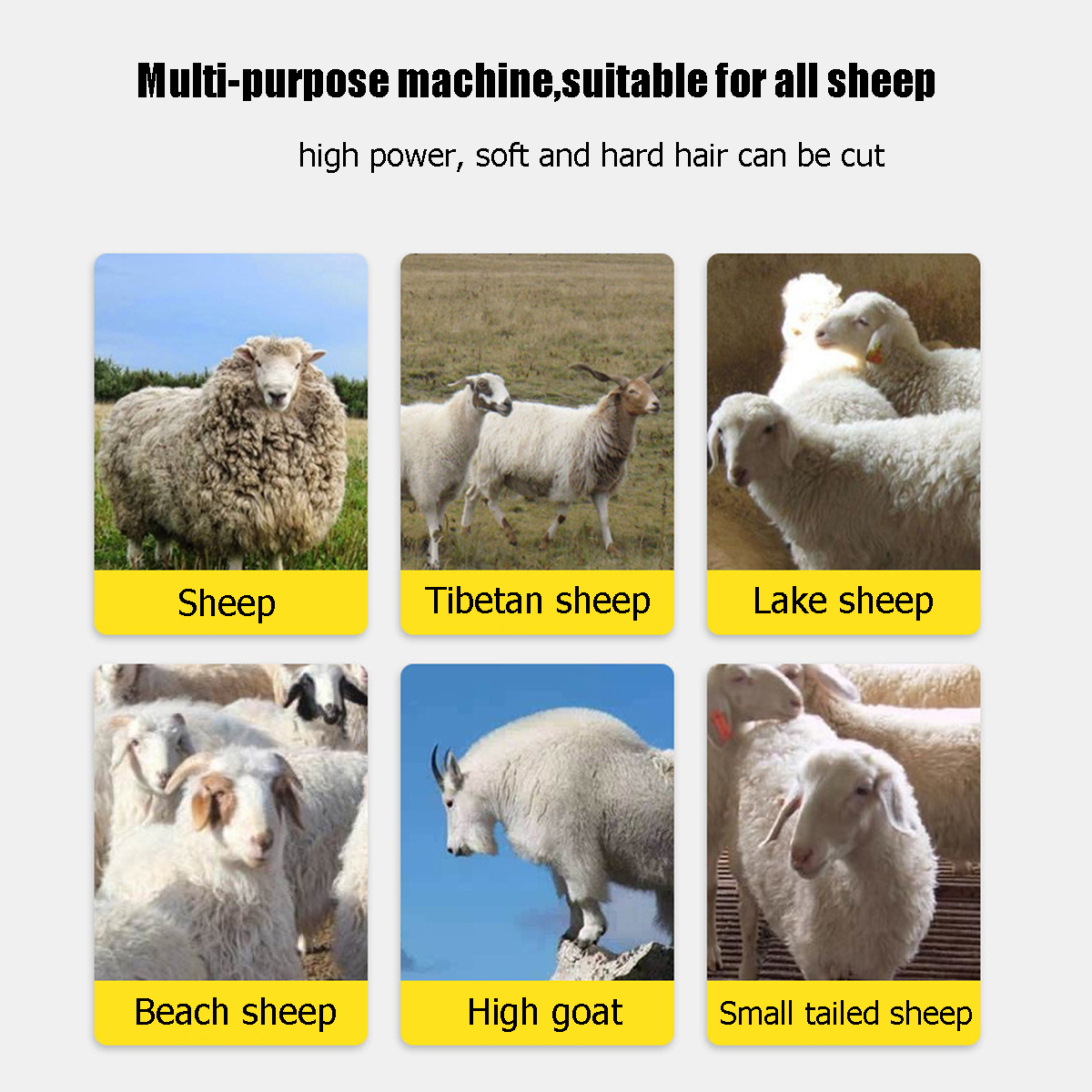 110V220V-13-Teeth-Electric-Wool-Shears-Shearing-Animal-Sheep-Goat-Farm-Machine-1700388-11