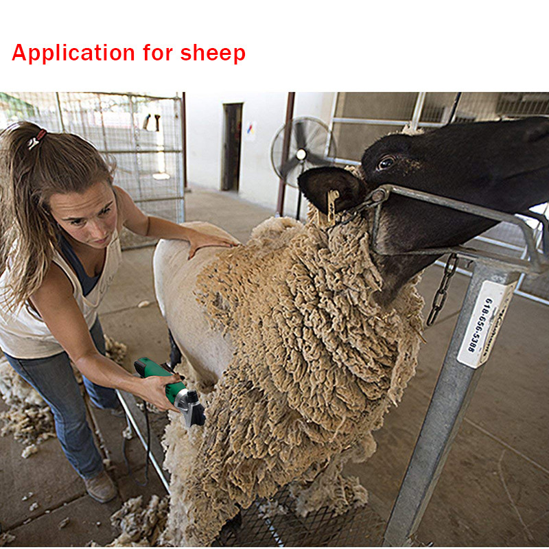 110V220V-900W-Electric-Shearing-Machine-Wool-Scissors-6-Gear-Speed-Adjustable-For-Sheep-Goat-Clipper-1595073-3