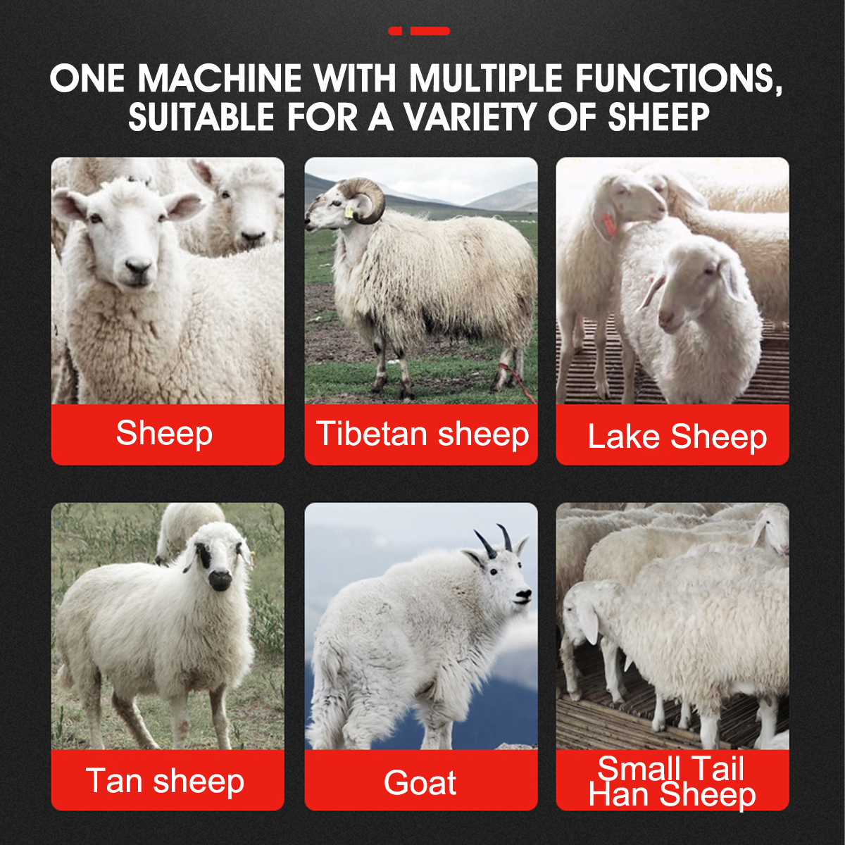 220V-6-Speed-Electric-Sheep-Shearing-Clipper-Scissor-Shear-Wool-Trimmer-1829646-5