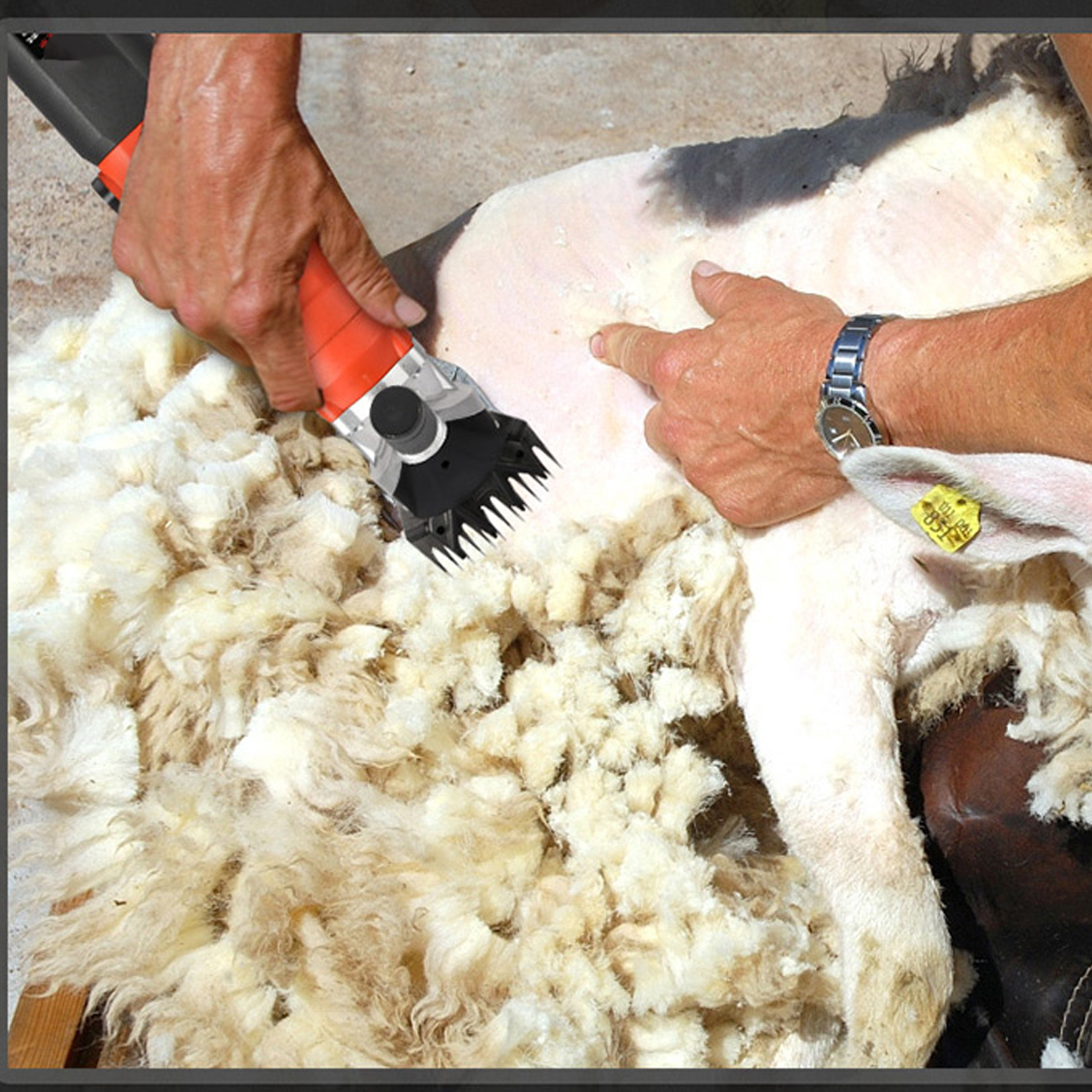 220V-6-Speed-Electric-Sheep-Shearing-Clipper-Scissor-Shear-Wool-Trimmer-1829646-8
