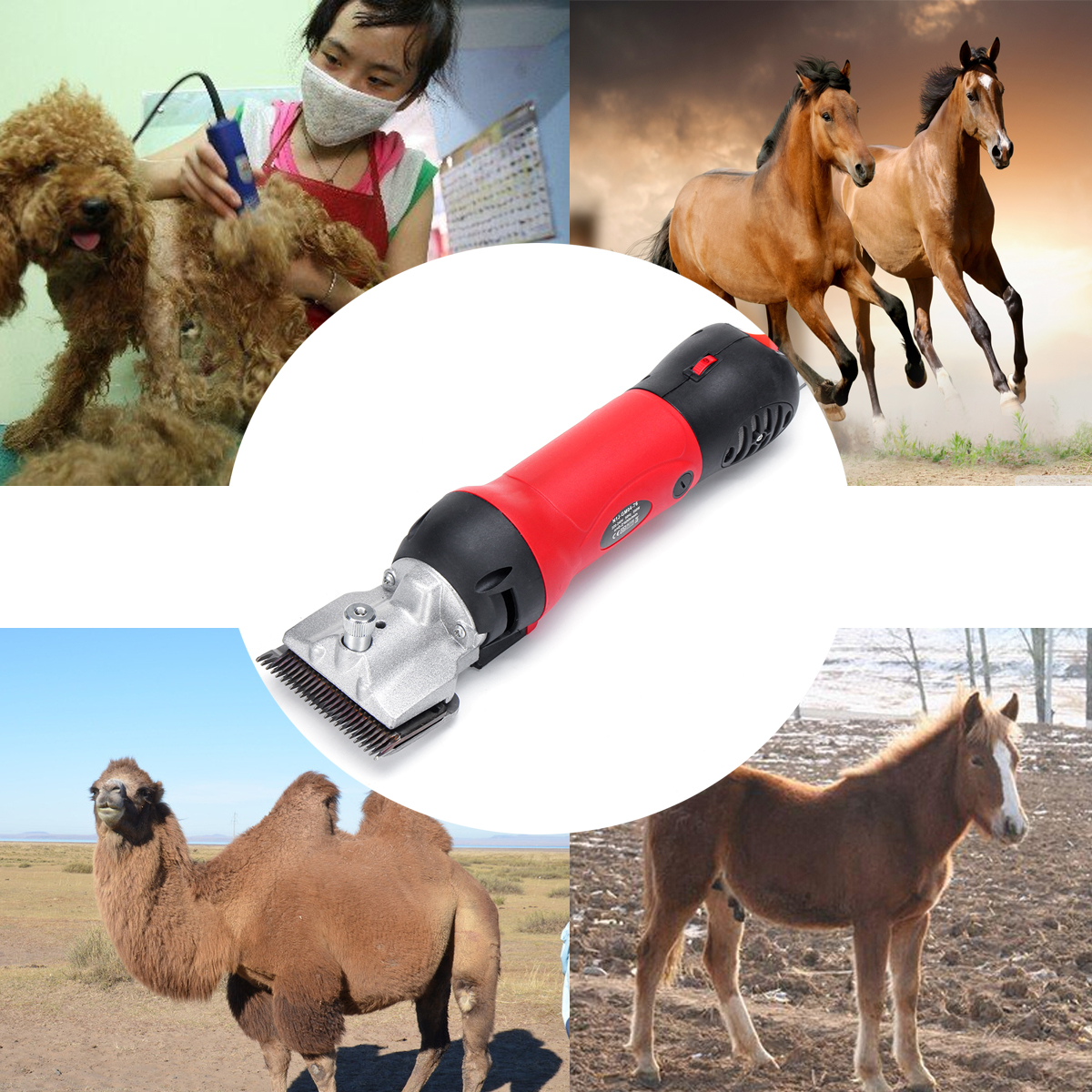 2400rmin-450W-Professional-Electric-Animal-Horse-Camel-Dog-Clipper-Horse-Camel-Dog-Hair-Clipper-1338588-2