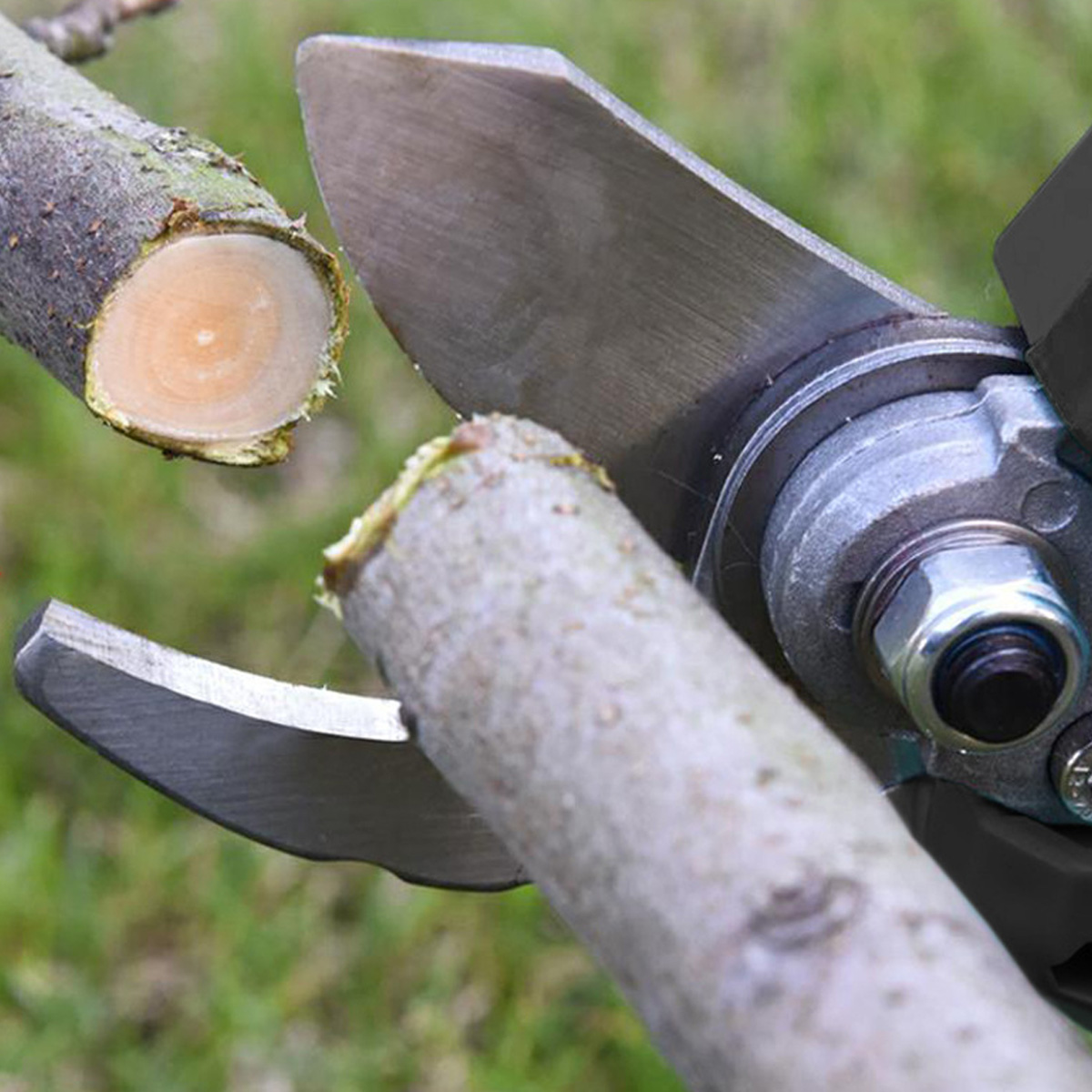 Kiwarm-30mm-Cordless-Electric-Scissors-Pruning-Shears-Adjustable-Tree-Branch-Pruner-Garden-Scissor-H-1902751-12