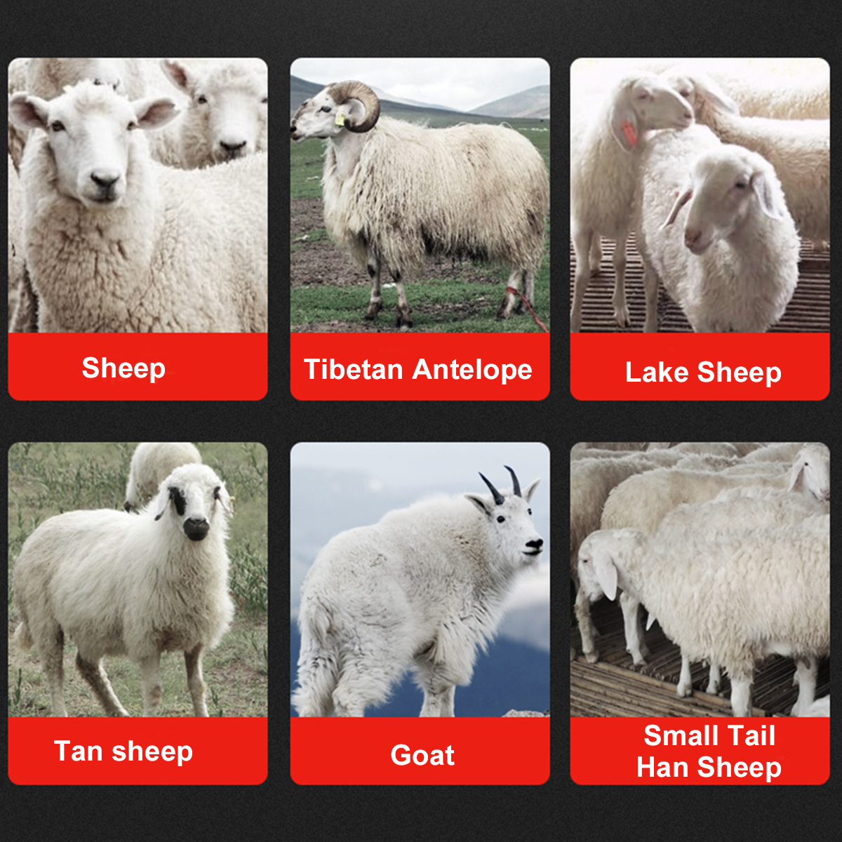 380W-Electric-Sheep-Shears-Shearing-Animal-Clippers-Farm-Livestock-Wool-Carding-Tool-1761589-2