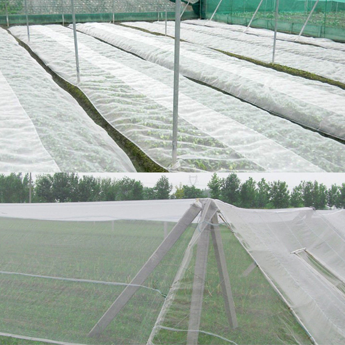 10M6M-x-25M-Garden-Bird-Net-Netting-Vegetables-Pest-Plant-Crops-Protect-Mesh-Anti-Bird-Net-1329753-4