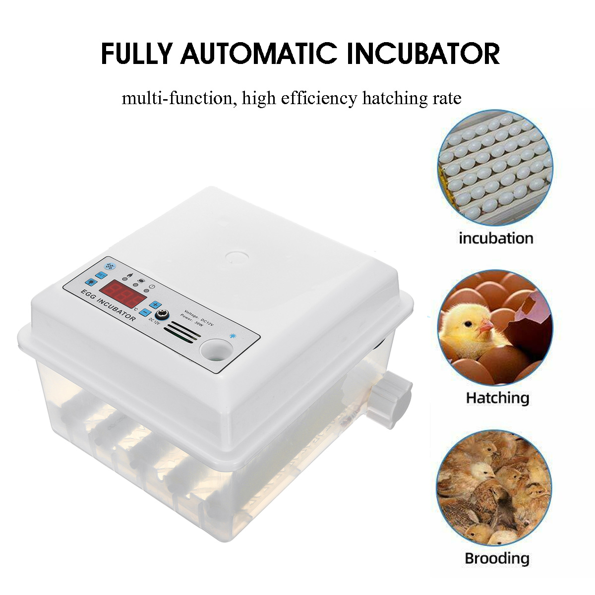 110-220V-16-Eggs-Mini-Fully-Automatic-Incubators-Small-Egg-Hatcher-Chicken-Bird-Egg-1754732-2