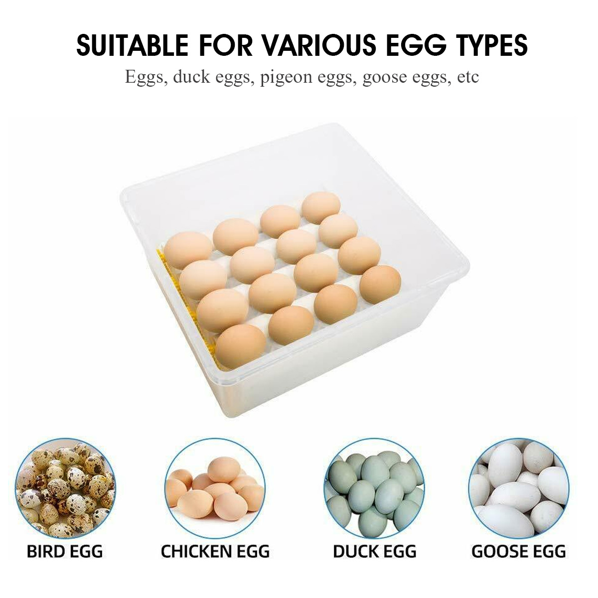 110-220V-16-Eggs-Mini-Fully-Automatic-Incubators-Small-Egg-Hatcher-Chicken-Bird-Egg-1754732-3