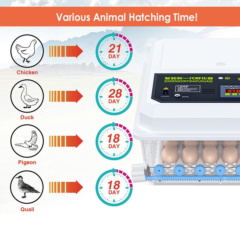 36-Egg-Automatic-Incubator-Brooder-Digital-Fully-Hatcher-Turning-Chicken-Duck-Humidity-Temperature-C-1959754-3