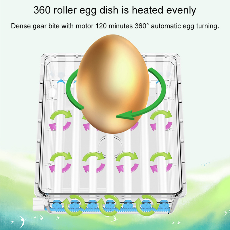 36-Egg-Automatic-Incubator-Brooder-Digital-Fully-Hatcher-Turning-Chicken-Duck-Humidity-Temperature-C-1959754-6