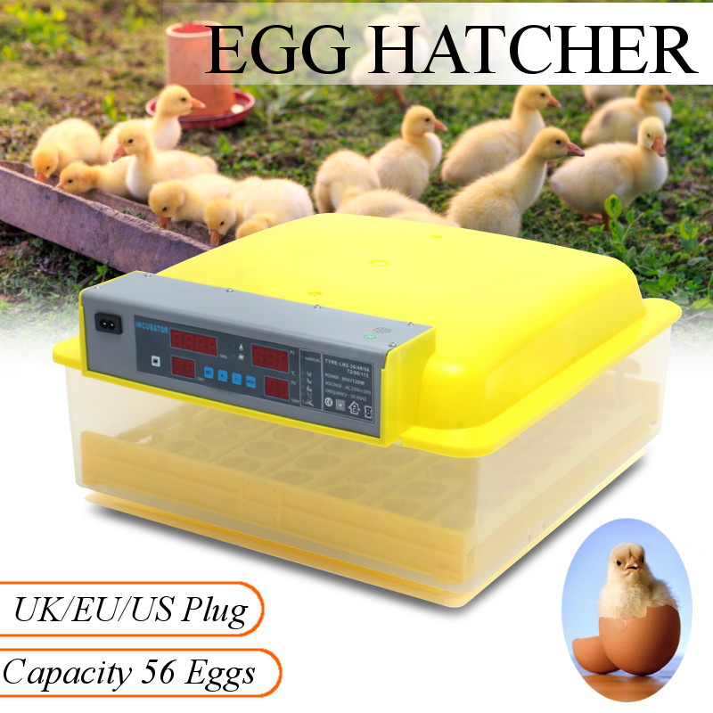 56-Automatic-Egg-Incubator-Digital-Hatching-Poultry-Chicken-Temperature-Control-USEUUK-Plug-1287218-1